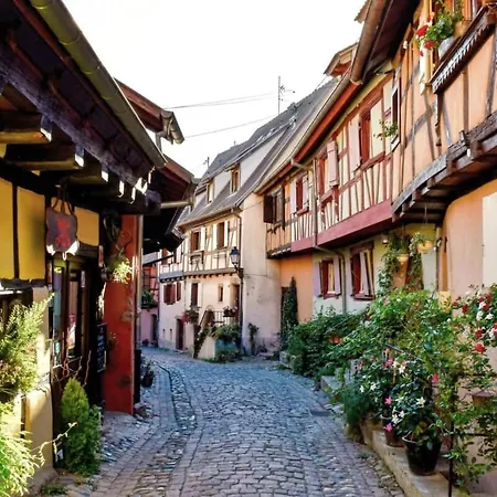 Le De Lisa : Avec Terrasse Proche Colmar * Wintzenheim