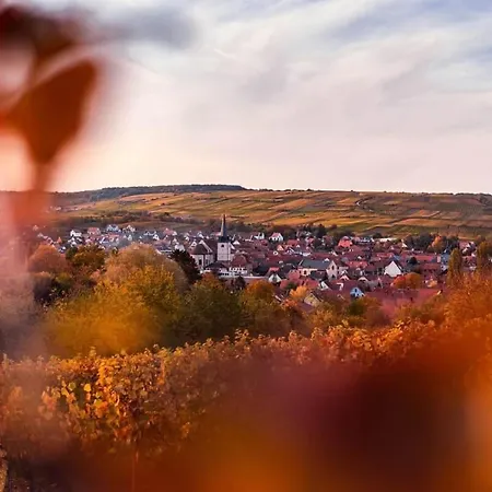 Le De Lisa : Avec Terrasse Proche Colmar