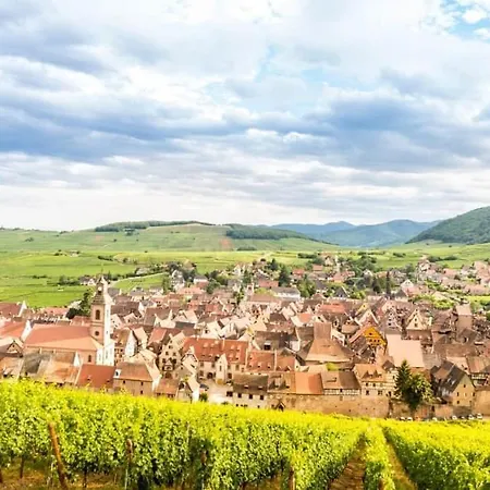 Le De Lisa : Avec Terrasse Proche Colmar Wintzenheim